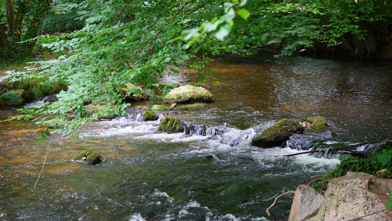 Les Chalets Du Moulin De Valade Condat-sur-Trincou エクステリア 写真